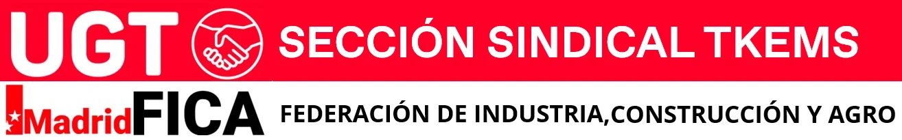 SECCIÓN SINDICAL TKEMS